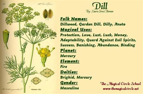 Bosz Voodoo Dill as a Path to Self-Discovery: Connecting with Your Inner Witch